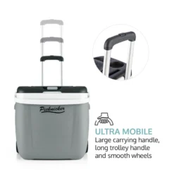Picknicker Trolley Music Cooler 36l Trolley-Kühlbox BT-Lautsprecher -Küchenzubehör Verkaufsgeschäft 10031527 yy 0005 logo auna Picknicker Trolley Music Cooler Kuehlbox grau reedit