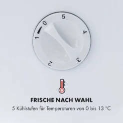 Beersafe L Crystal White Kühlschrank 47 Ltr 2 Böden Glastür Edelstahl -Küchenzubehör Verkaufsgeschäft 10033121 de 0005 logo