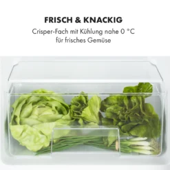 Big Daddy Cool Kühl-Gefrierkombination 61/25 Liter 2 Ebenen Edelstahl 16 Big Daddy Cool Kühl-Gefrierkombination 61/25 Liter 2 Ebenen Edelstahl -Küchenzubehör Verkaufsgeschäft 10034005 de 0005 logo