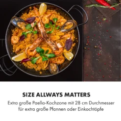 Delicatessa 3 Induktionskochfeld 3 Zonen 5800W Glaskeramik Schwarz -Küchenzubehör Verkaufsgeschäft 10034193 de 0003 logo