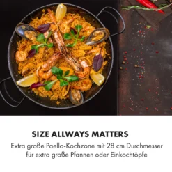 Delicatessa 3 Flex Induktionskochfeld 3 Zonen 6600W Flexzone Schwarz -Küchenzubehör Verkaufsgeschäft 10034194 de 0003 logo