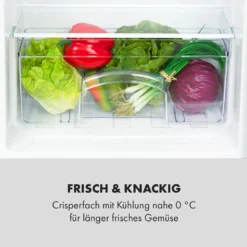 Cool Cousin Kühl-Gefrier-Kombination 70/11 Liter 40 DB 15 Cool Cousin Kühl-Gefrier-Kombination 70/11 Liter 40 DB -Küchenzubehör Verkaufsgeschäft 10034547 de 0006 logo