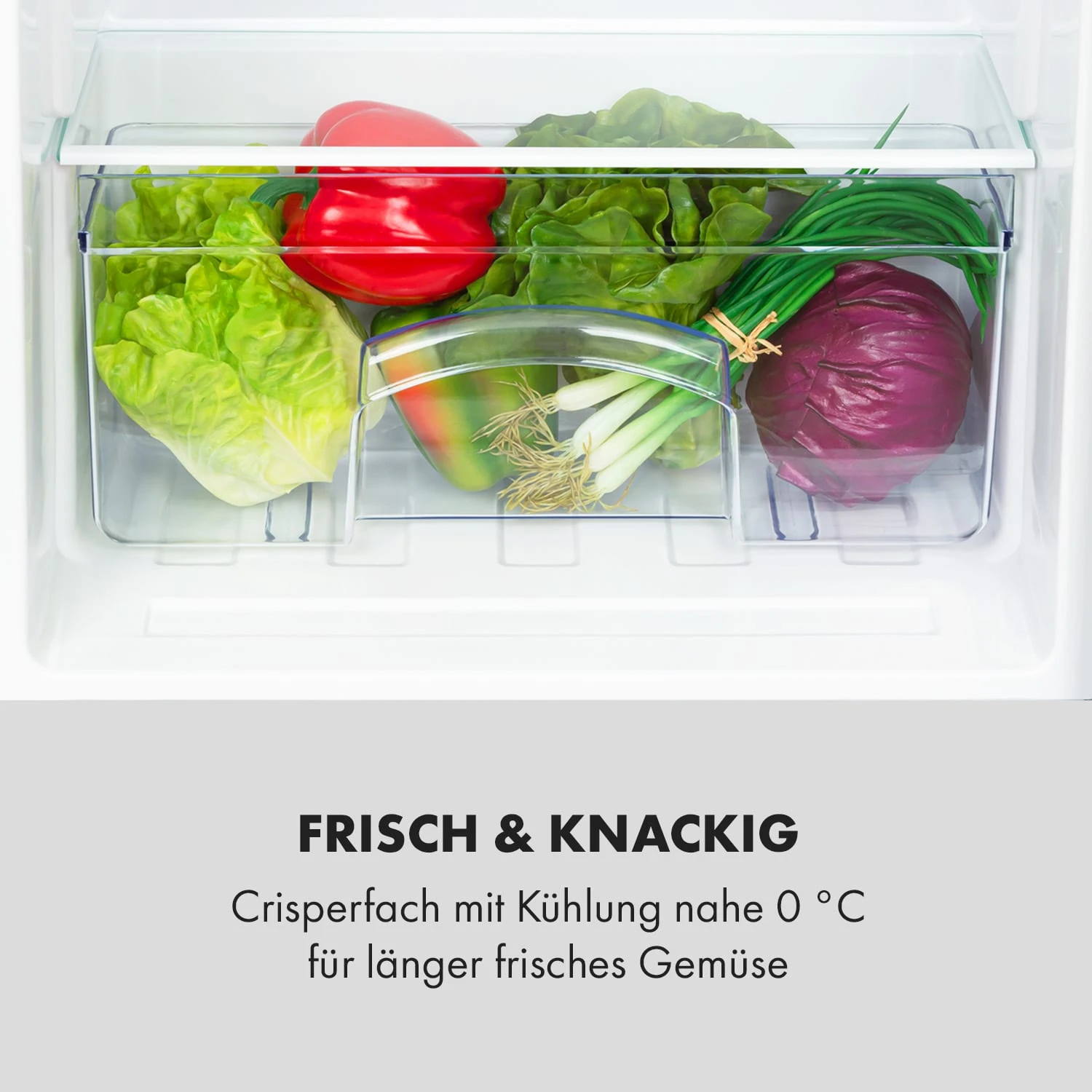 Cool Cousin Kühl-Gefrier-Kombination 70/11 Liter 40 DB 6 Cool Cousin Kühl-Gefrier-Kombination 70/11 Liter 40 DB – Bild 6