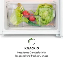 Spitzbergen Uni Kühlschrank 91 Liter 10-Liter-Gefrierfach 2 Böden -Küchenzubehör Verkaufsgeschäft 10035192 de 0006 logo