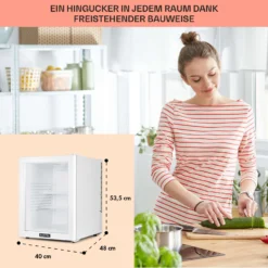 Brooklyn 42 Mini-Kühlschrank Glastür LED Ablage -Küchenzubehör Verkaufsgeschäft 10035227 DE 0006 usp
