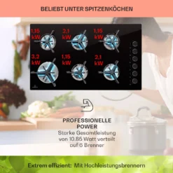 Trifecta 6 Gaskochfeld 6-flammig Gusseisen Glaskeramik -Küchenzubehör Verkaufsgeschäft 10039422 de 0003 usp