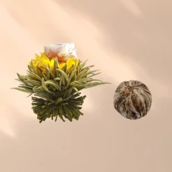 Teeblumen 6 Verschiedene Sorten Einzeln Verpackt Sehr Ergiebig -Küchenzubehör Verkaufsgeschäft 10040406 yy 0007 logo