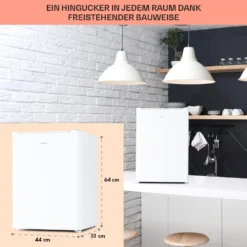 Fargo 67 Kühlschrank Minibar 67 Liter / 4 Liter Gefrierfach Kompakt -Küchenzubehör Verkaufsgeschäft 10045043 de 0006 usp